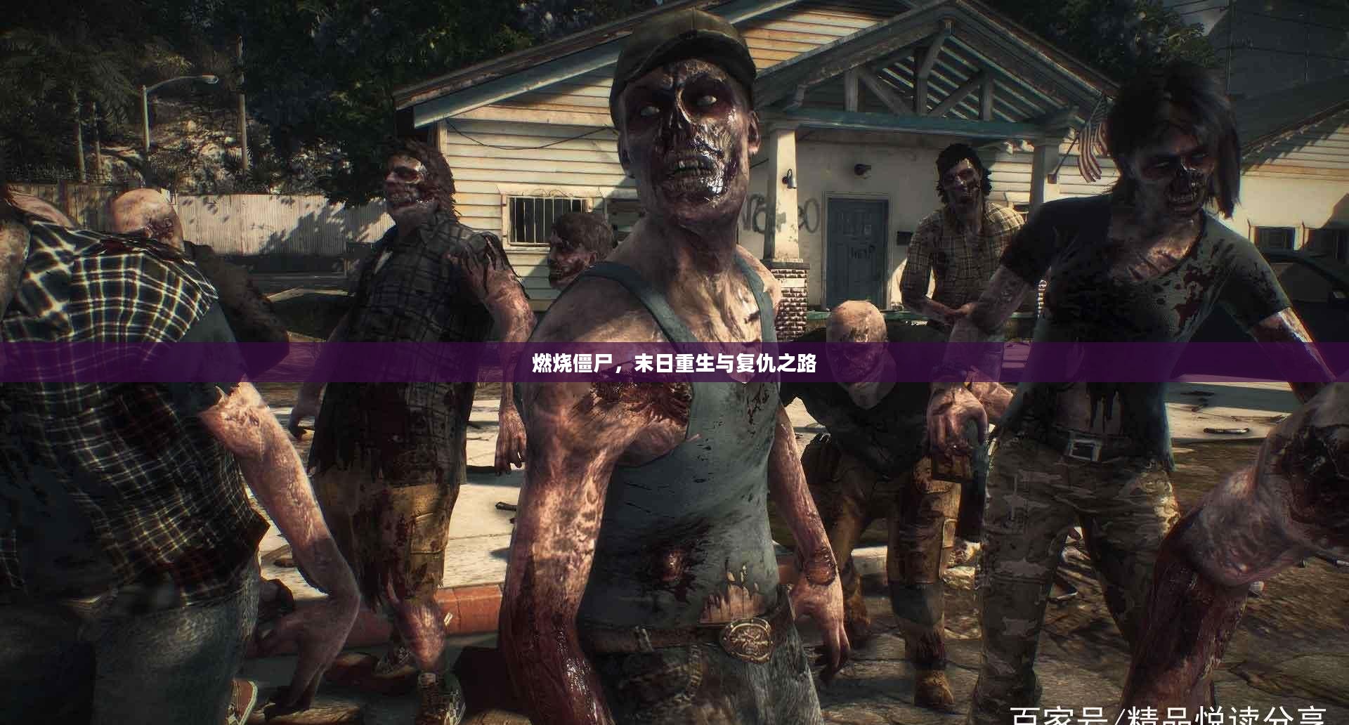 燃烧僵尸，末日重生与复仇之路