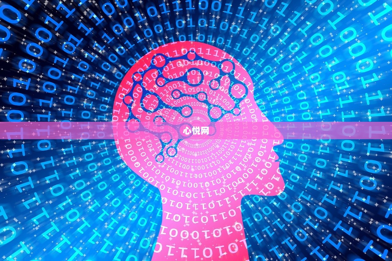 心悦网，探索数字时代的全新可能