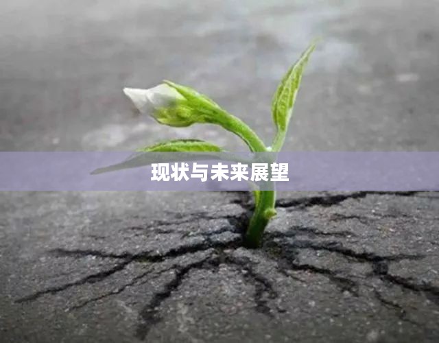 血蓟交易，历史、现状与未来展望
