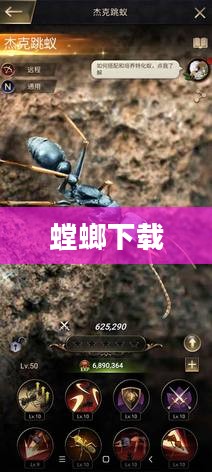 螳螂下载，探索数字时代的全新下载体验
