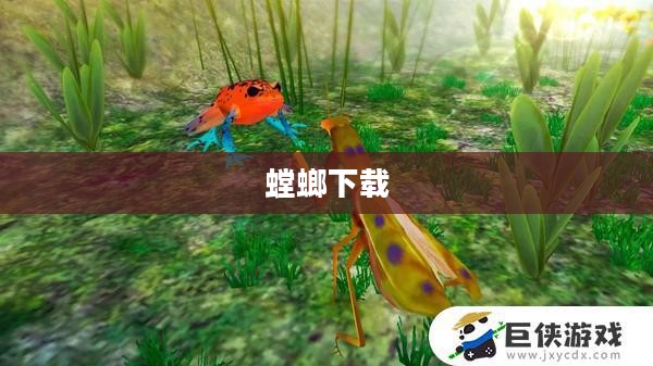 螳螂下载，探索数字时代的全新下载体验