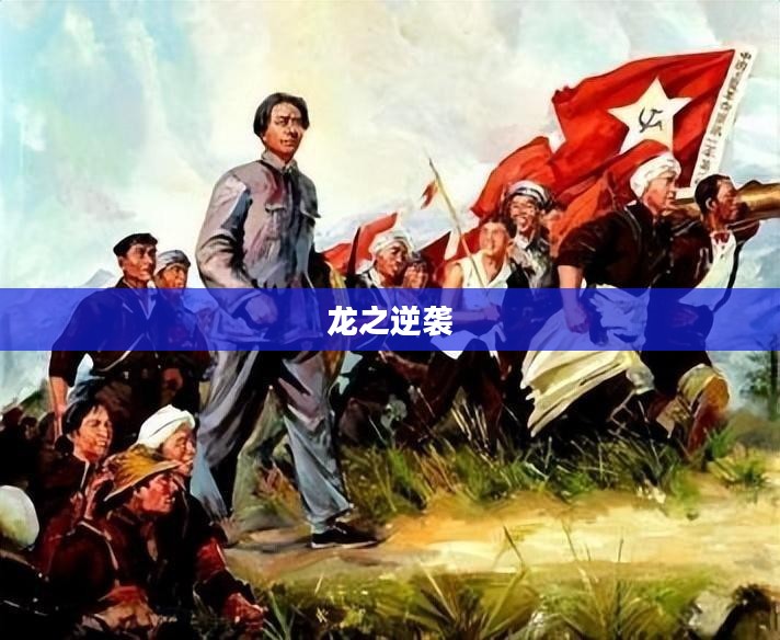 龙之逆袭，逆境中的辉煌重生