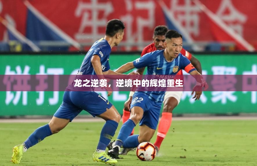 龙之逆袭，逆境中的辉煌重生