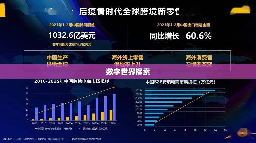 博乐网，探索数字世界的无限可能