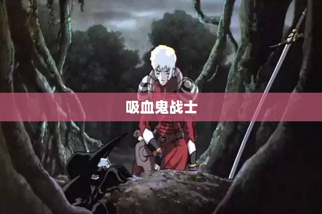 吸血鬼战士，暗夜中的英勇传说