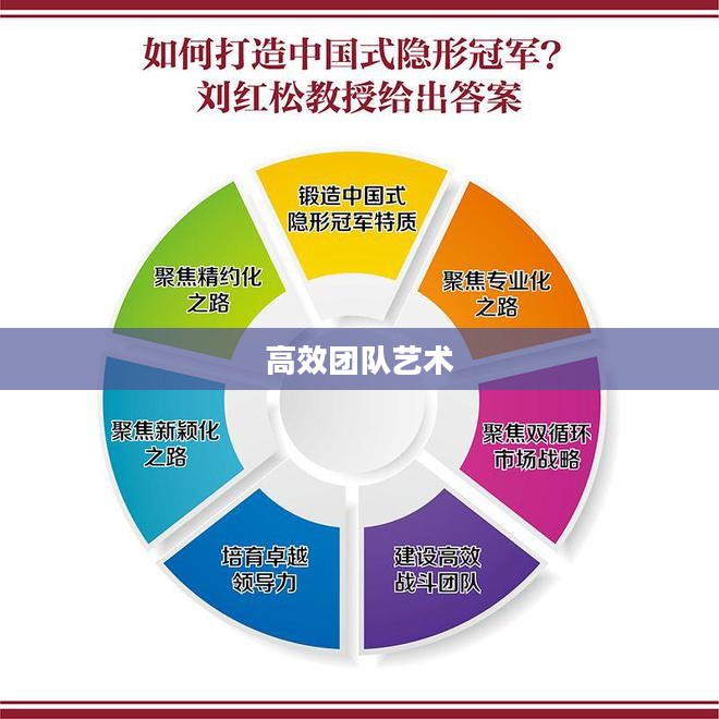 队伍分配，构建高效团队的策略与艺术