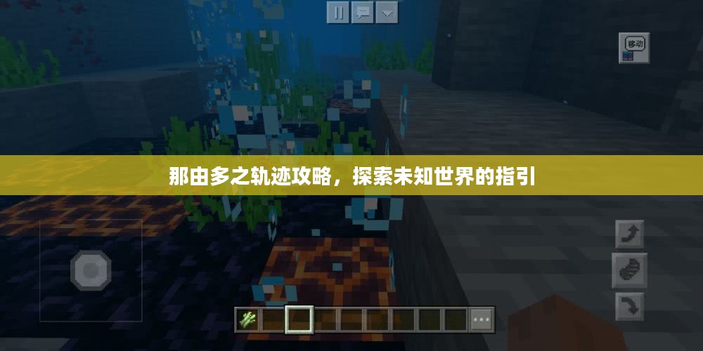 那由多之轨迹攻略，探索未知世界的指引
