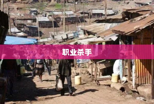 职业杀手在僵尸之城