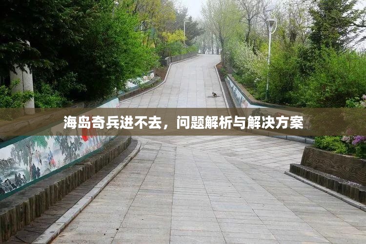 海岛奇兵进不去，问题解析与解决方案