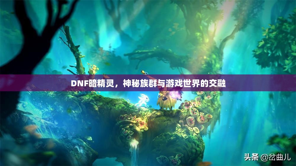 DNF暗精灵，神秘族群与游戏世界的交融