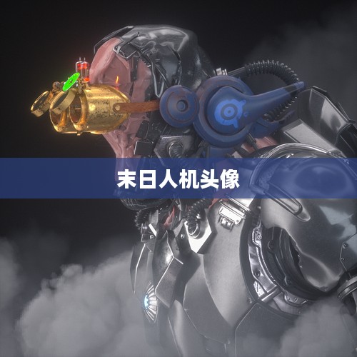末日人机头像，未来与虚拟的交融