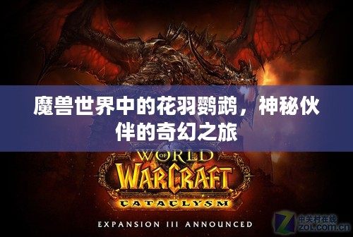 魔兽世界中的花羽鹦鹉，神秘伙伴的奇幻之旅