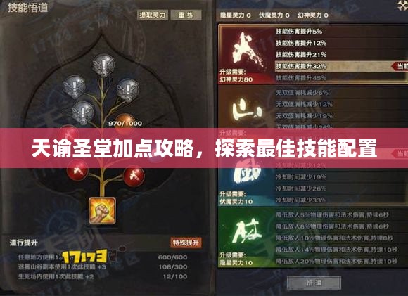 天谕圣堂加点攻略，探索最佳技能配置