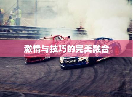 特技足球，激情与技巧的完美融合