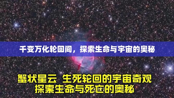 千变万化轮回间，探索生命与宇宙的奥秘