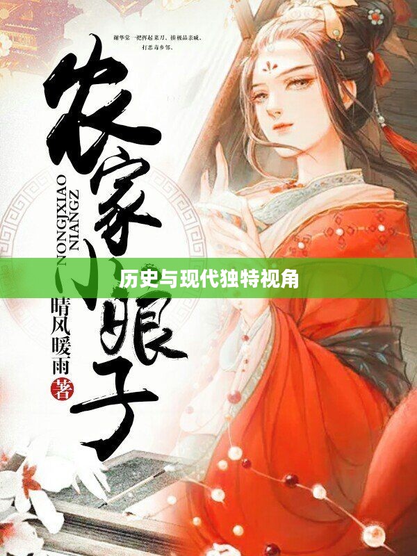极品娘子榜，历史与现代的独特视角