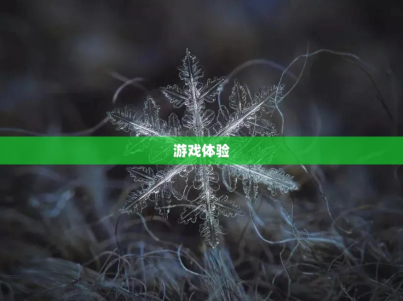 炫舞2下载，游戏魅力与体验之旅