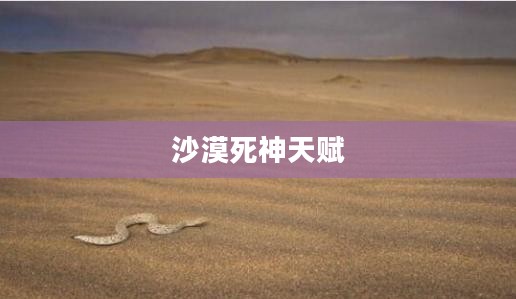 沙漠死神天赋，无尽生存之道的独特解读