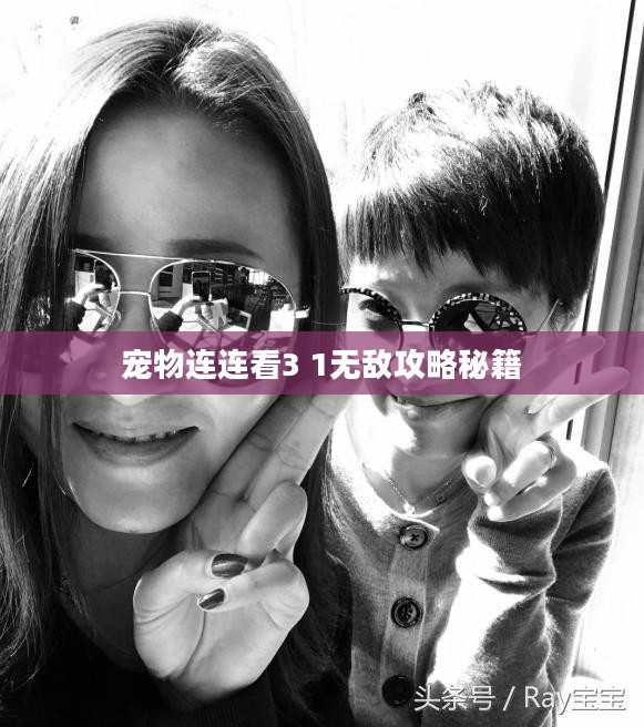 宠物连连看3 1无敌攻略秘籍