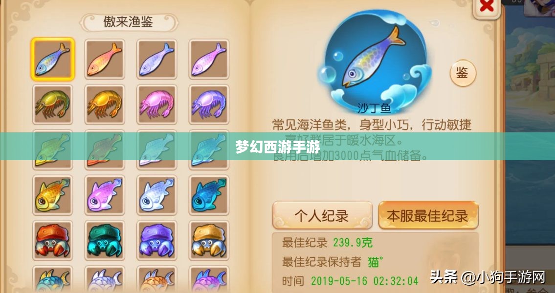 梦幻西游手游钓鱼攻略详解