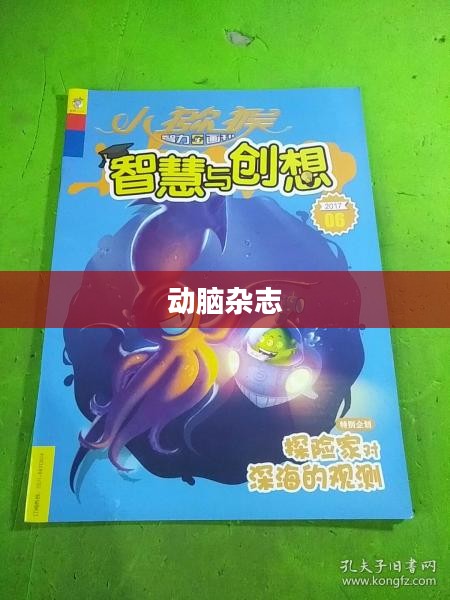 动脑杂志，智慧与创意的源泉