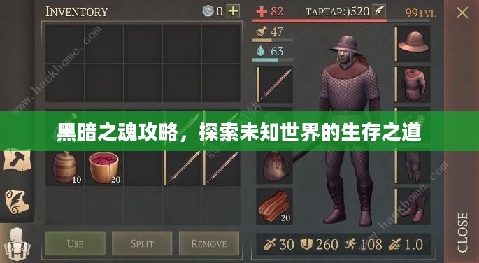 黑暗之魂攻略，探索未知世界的生存之道
