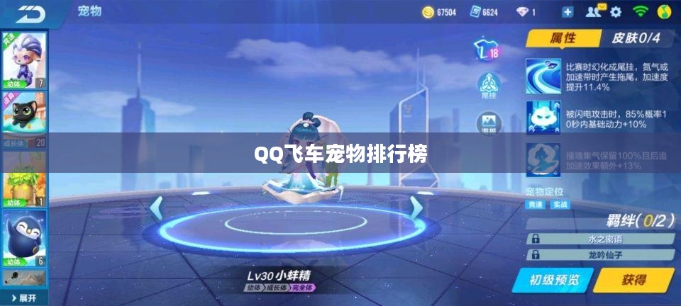 QQ飞车宠物排行榜，深度解析顶级宠物特性与优势