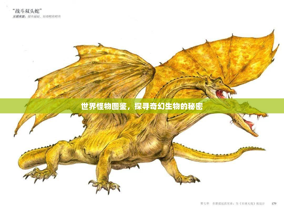 世界怪物图鉴，探寻奇幻生物的秘密
