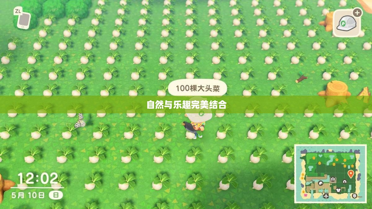 摩尔庄园牧场，自然与乐趣的完美结合