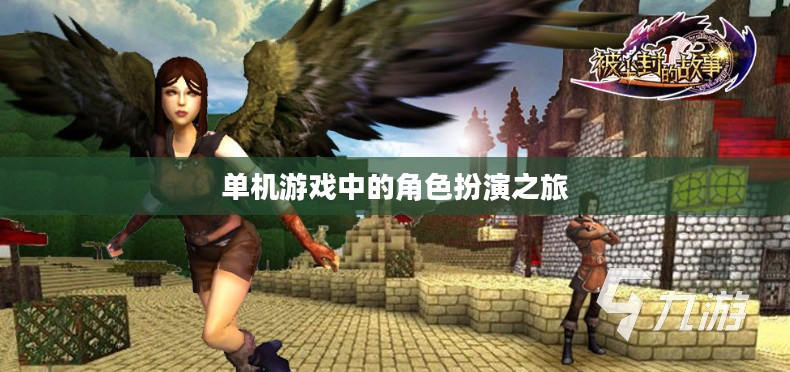 单机游戏中的角色扮演之旅