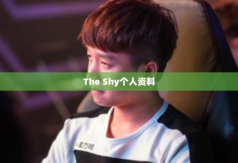 揭秘The Shy的个人资料，探索职业电竞选手的独特魅力