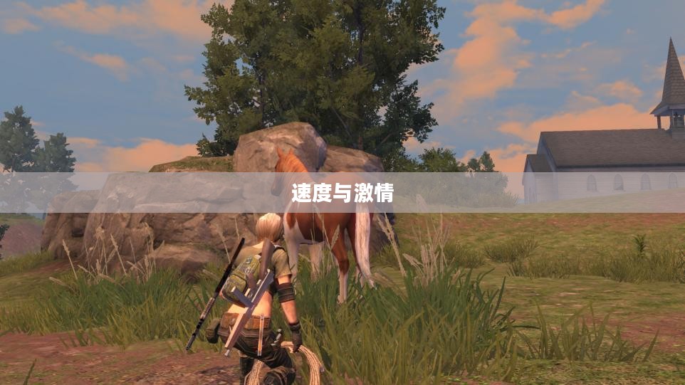疯狂赛马，速度与激情的极致展现