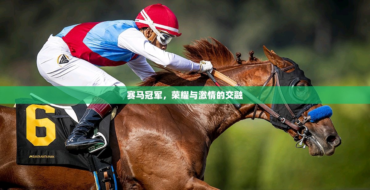 赛马冠军，荣耀与激情的交融