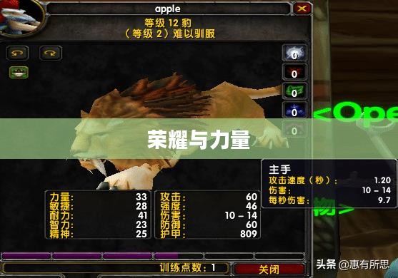 幸运6狮，荣耀与力量的象征