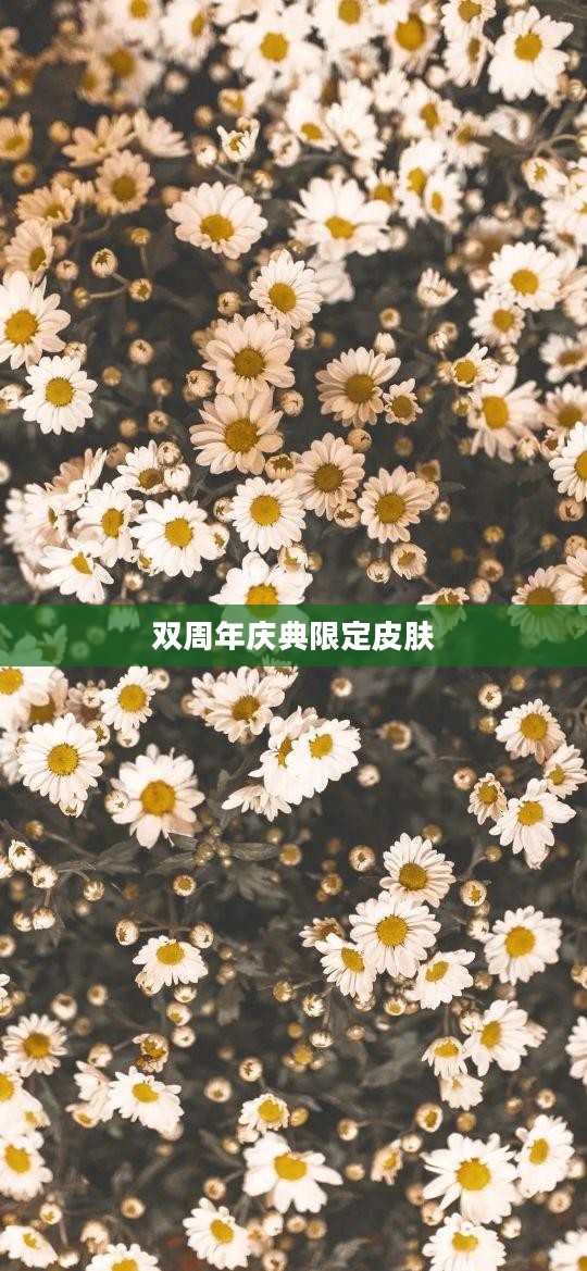双周年庆典限定皮肤，超越时空的华丽纪念