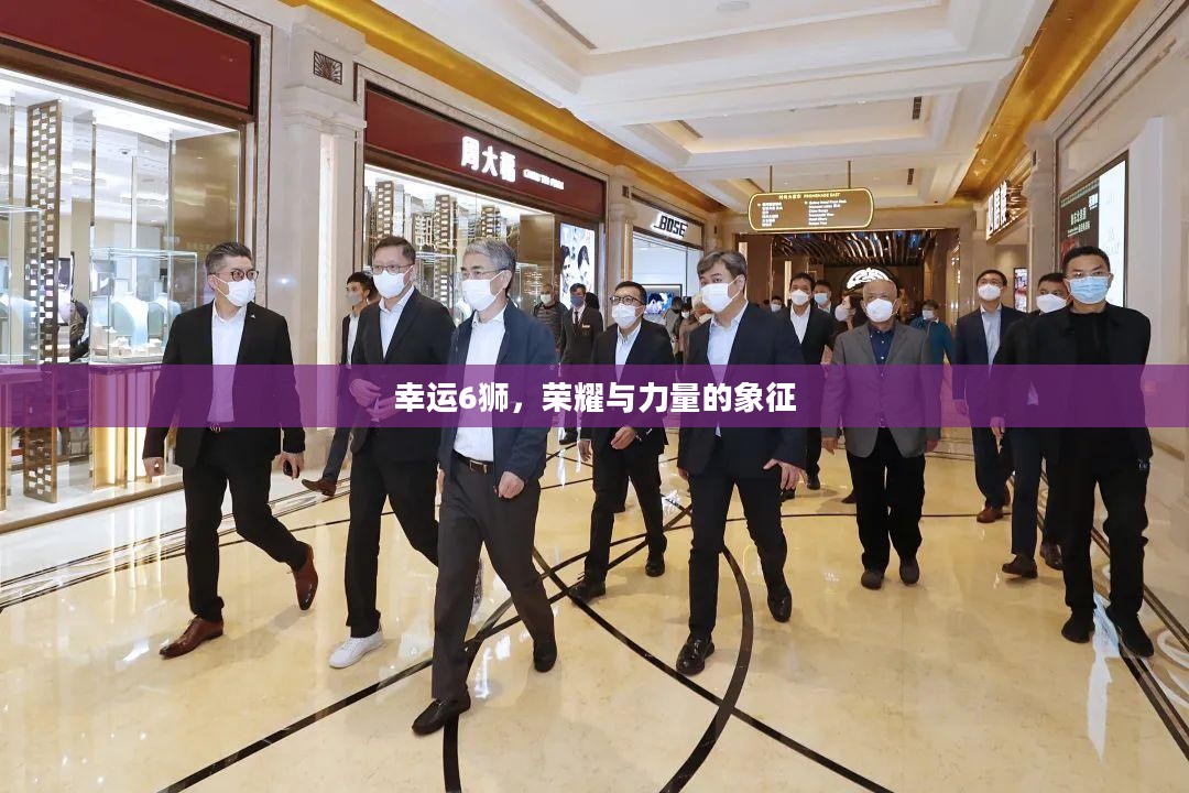 幸运6狮，荣耀与力量的象征