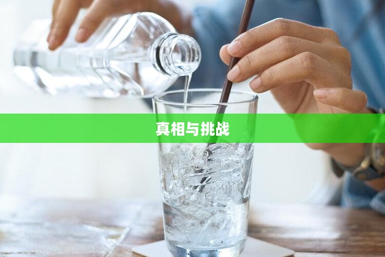 慢性毒药国康药王，揭示背后的真相与挑战