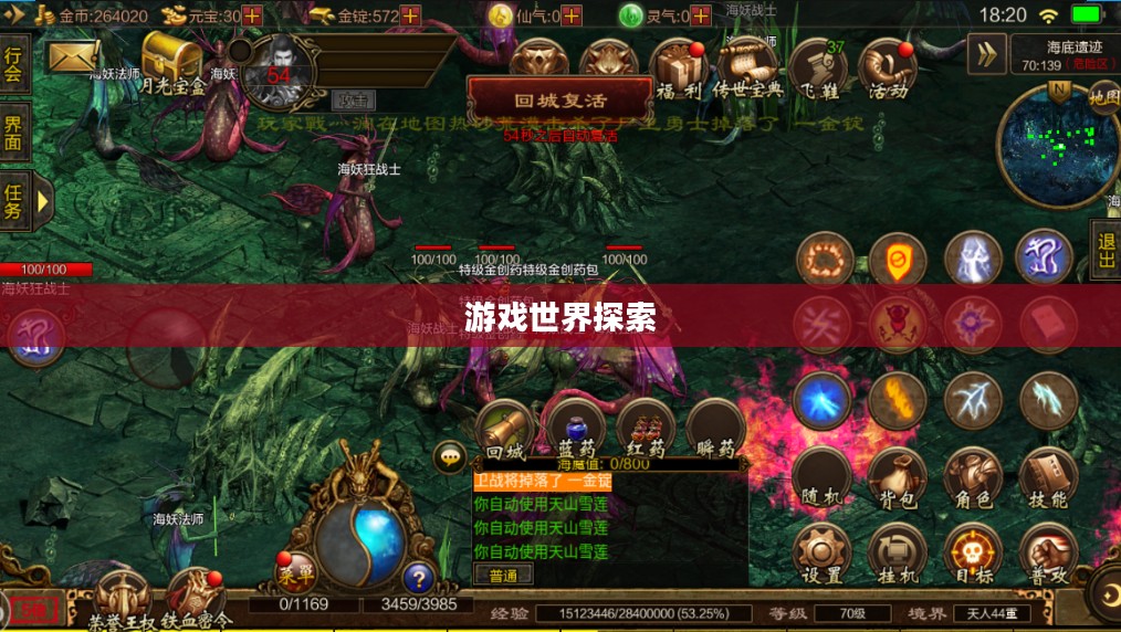 战极姬攻略，探索游戏世界的无尽魅力