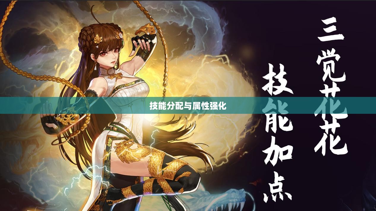 阿修罗加点攻略，技能分配与属性强化建议