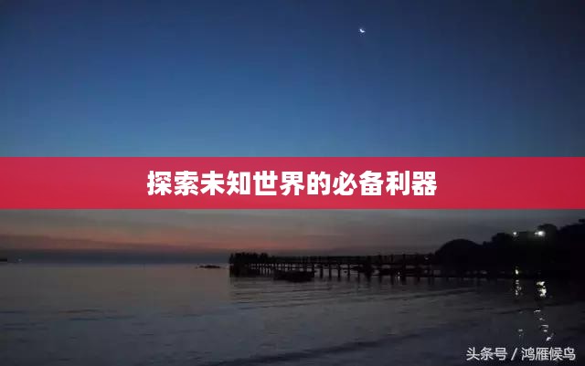 黎明之光新手卡，探索未知世界的必备利器