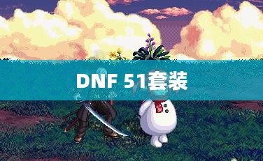 DNF51套装的魅力与影响