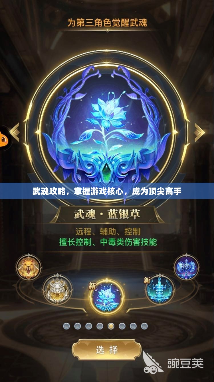 武魂攻略，掌握游戏核心，成为顶尖高手