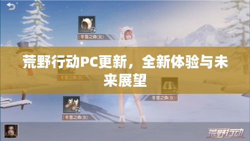荒野行动PC更新，全新体验与未来展望