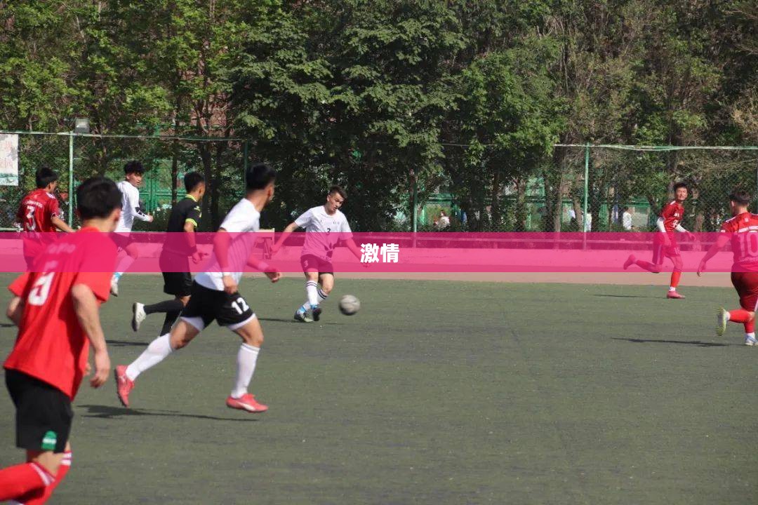 足球的魅力与激情