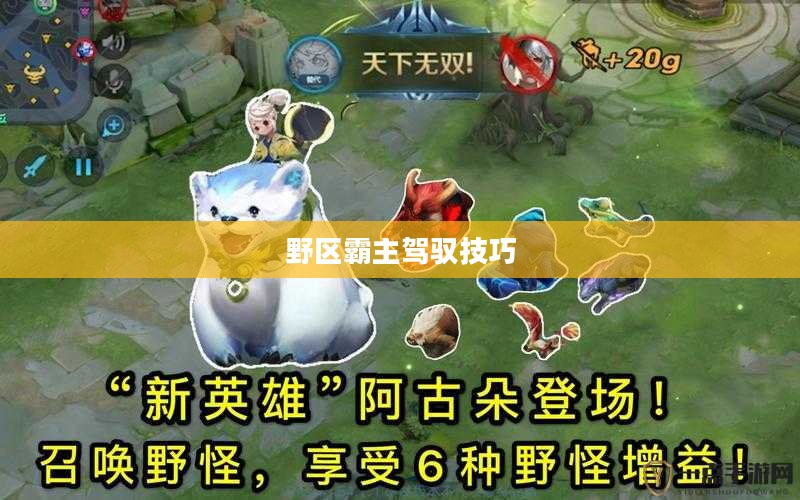 阿古朵收服野怪攻略，掌握技巧，轻松驾驭野区霸主