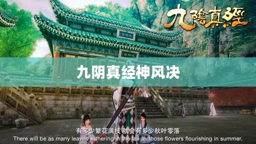 九阴真经神风决，武侠世界的绝世武学