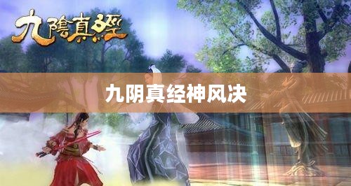 九阴真经神风决，武侠世界的绝世武学