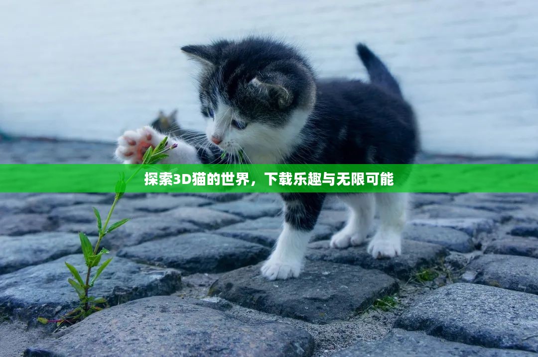 探索3D猫的世界，下载乐趣与无限可能