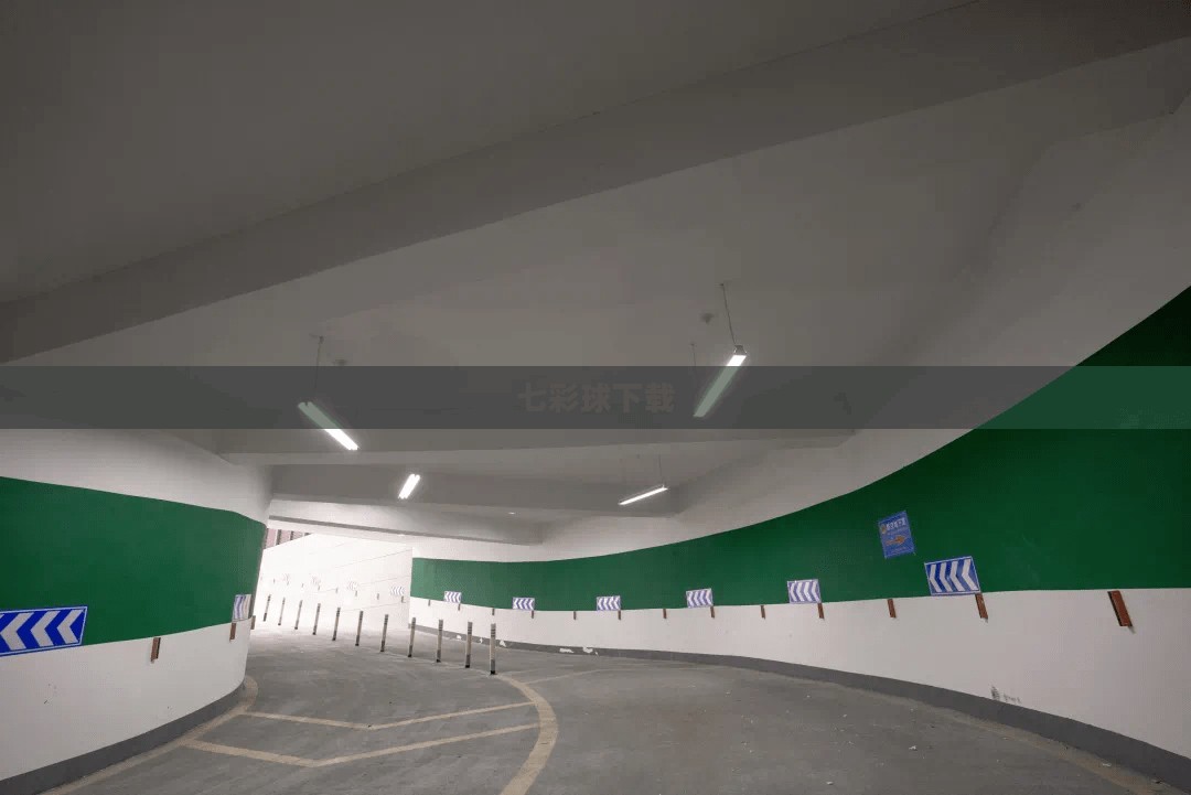 七彩球下载，探索与体验