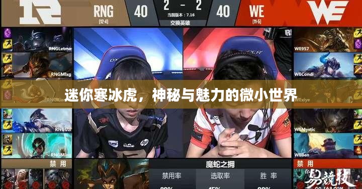 迷你寒冰虎，神秘与魅力的微小世界